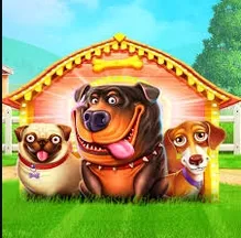 The Dog House Megaways